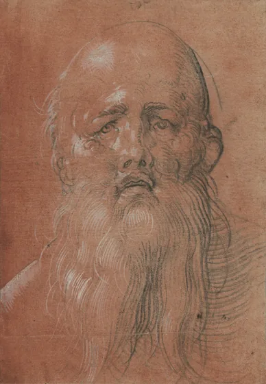 Tête d'homme barbu