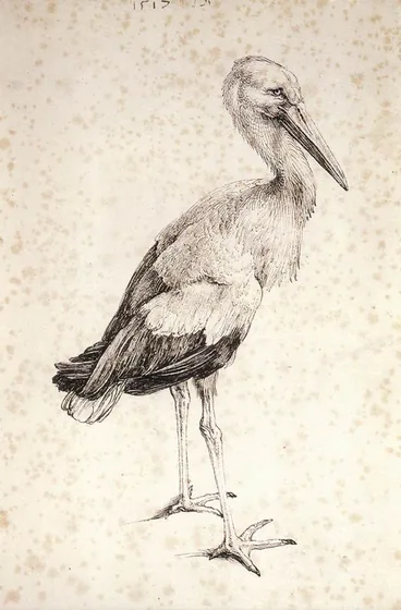 La Cigogne