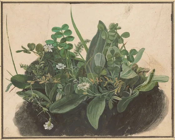 La petite touffe d'herbes