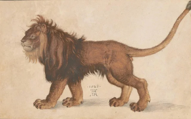 León, Albrecht Dürer