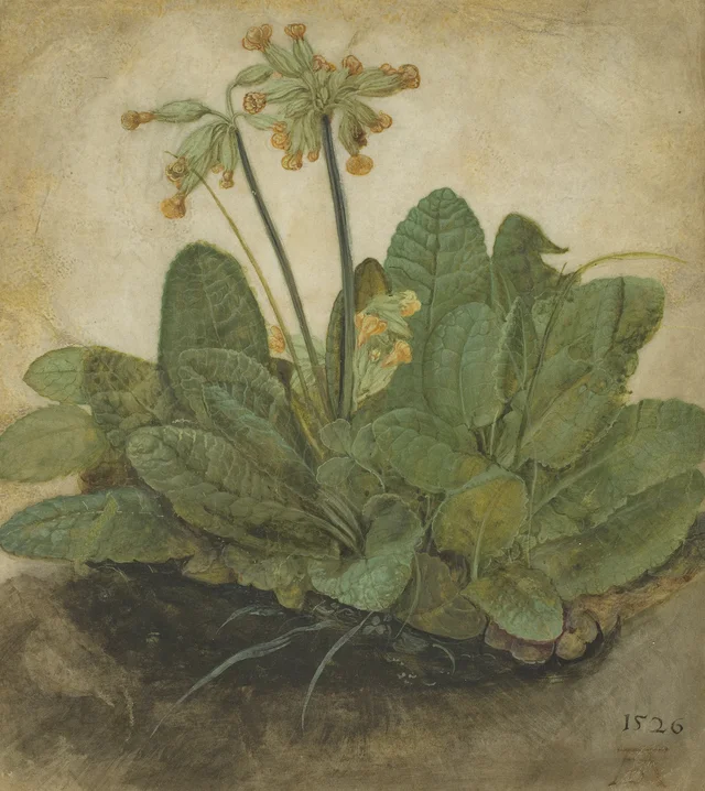 Primavera