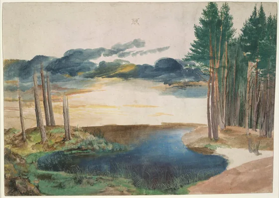 Un étang en forêt