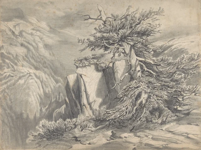 Árbol roto en un paisaje de montaña