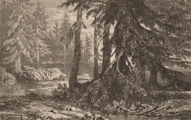 Ensayos de grabado al aguafuerte de Alexandre Calame, III, lám. 16, Alexandre Calame