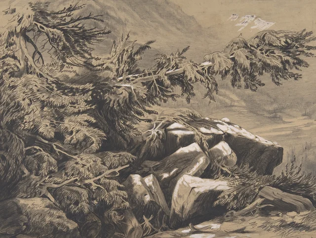 Bosques y montañas