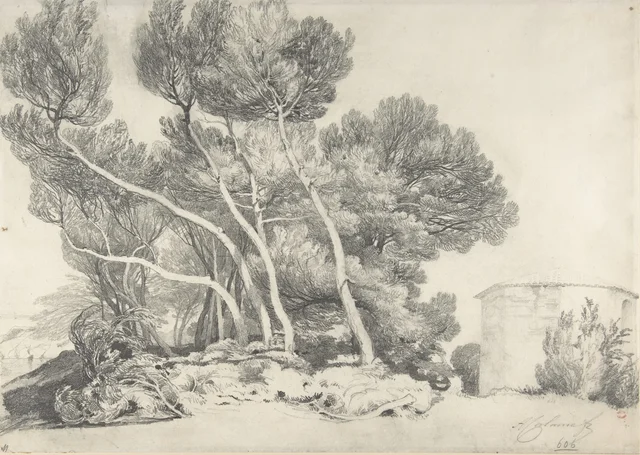 Paisaje