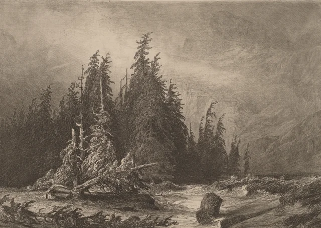 Pinos de montaña