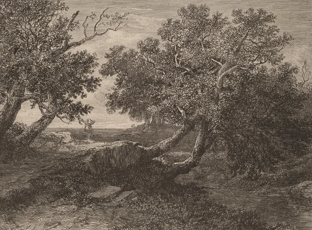 Arroyo bajo árboles inclinados, Alexandre Calame