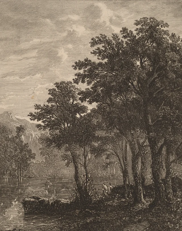 Árboles a orillas de un río