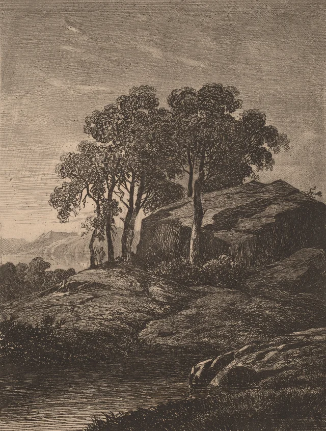 Árboles junto a una roca