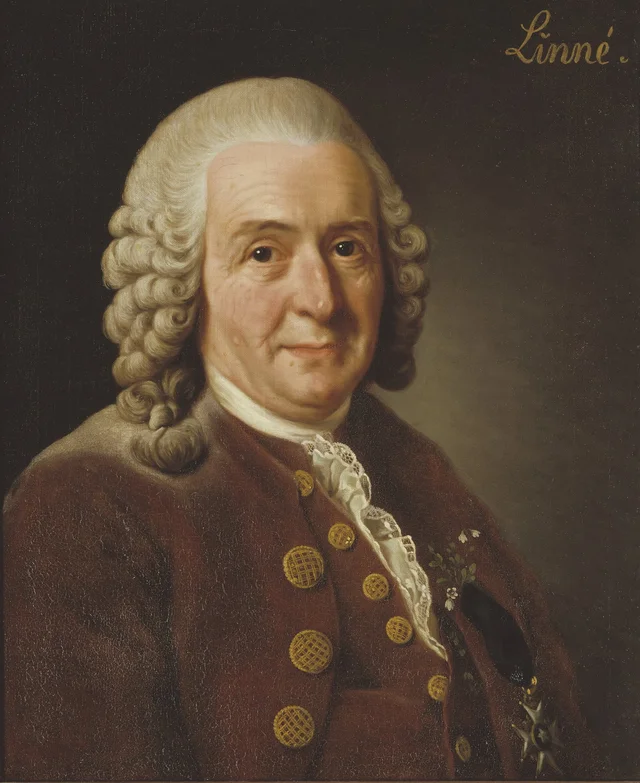 教授、植物学者カール・フォン・リンネ（1707-1778）