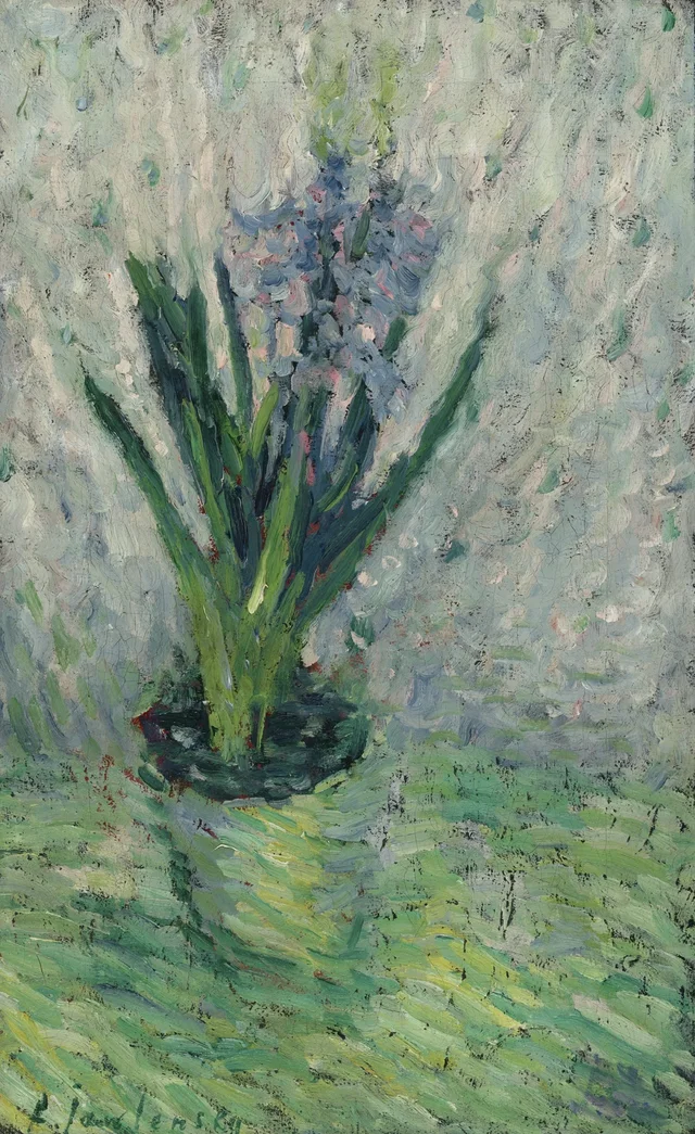 Jacinthe