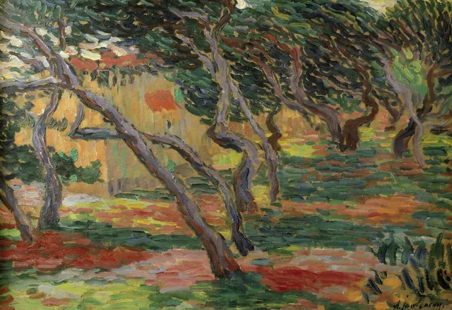 Oliveraie (paysage avec routes et arbres)
