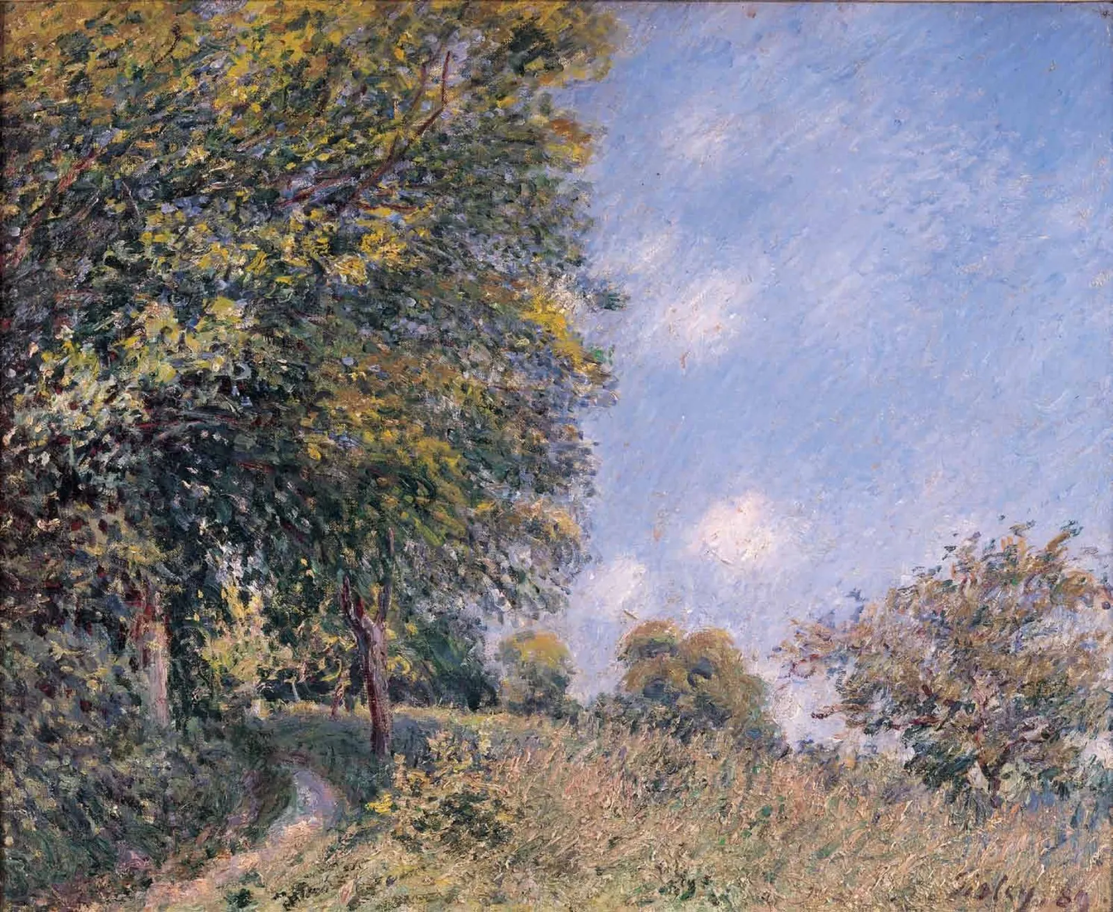 Autour de la forêt, matinée de juillet, Alfred Sisley