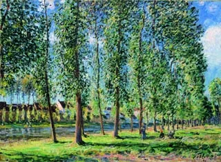 Allée des peupliers à Moret