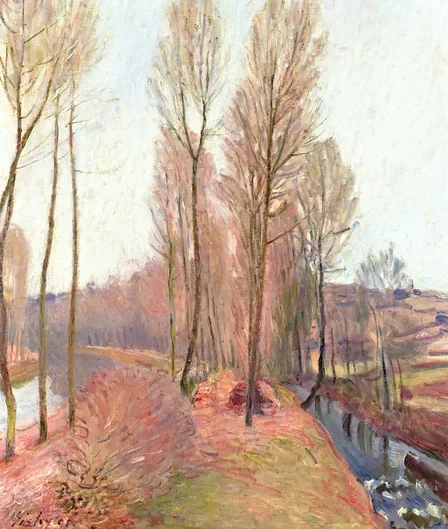 L'Orvanne et le canal du Loing en hiver
