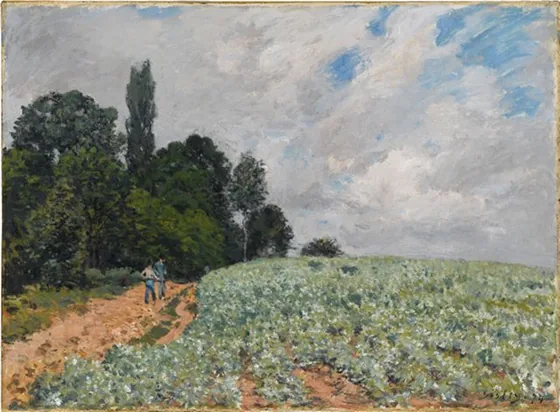 Le champ de Trèfle