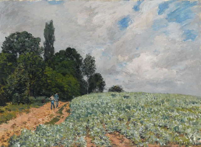 El campo de trébol