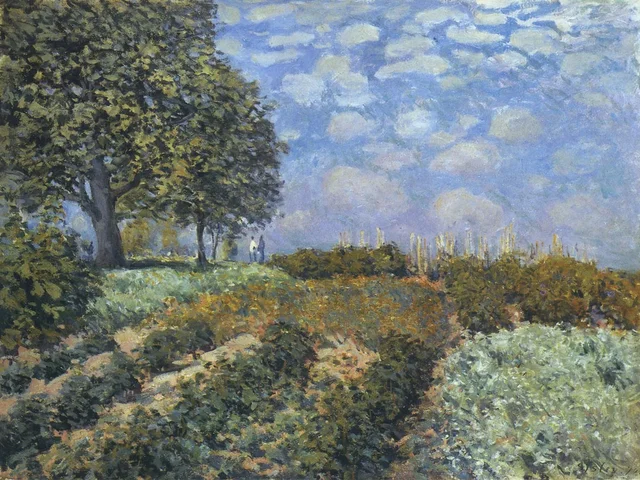 Los campos