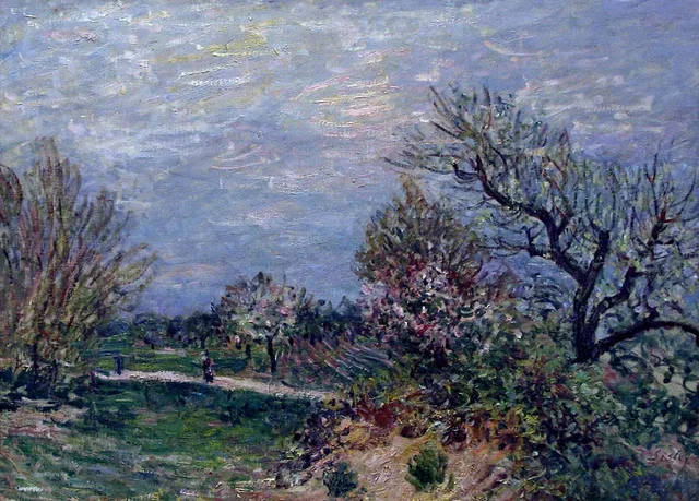 Lindero de bosque