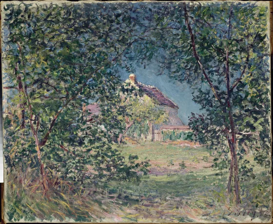 Lisière de forêt au printemps