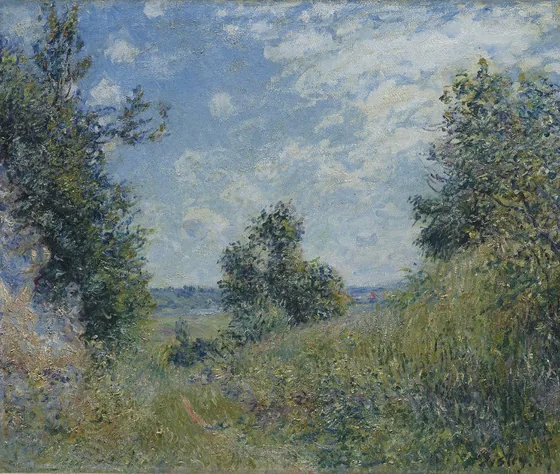 Paysage d'été