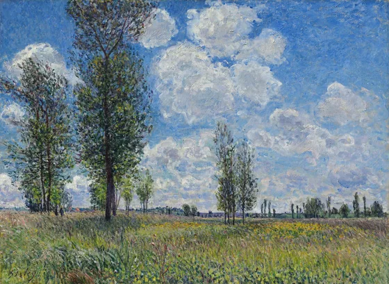 Prairie de Veneux-Nadon