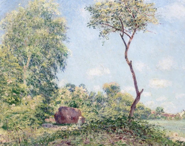 Primavera, álamos temblones y acacias