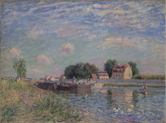 Saint-Mammès, canards sur le canal
