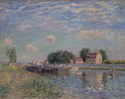 Saint-Mammès, canards sur le canal
