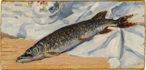 Un brochet du Loing