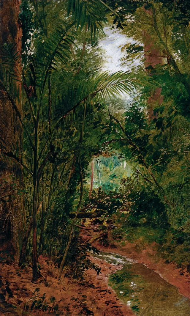 リオ・ダス・ペドラスの風景