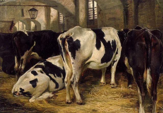 O estábulo, Anders Askevold