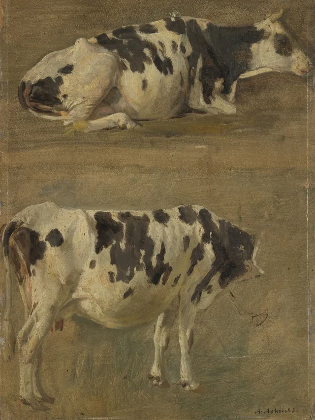 Duas vacas, Anders Askevold