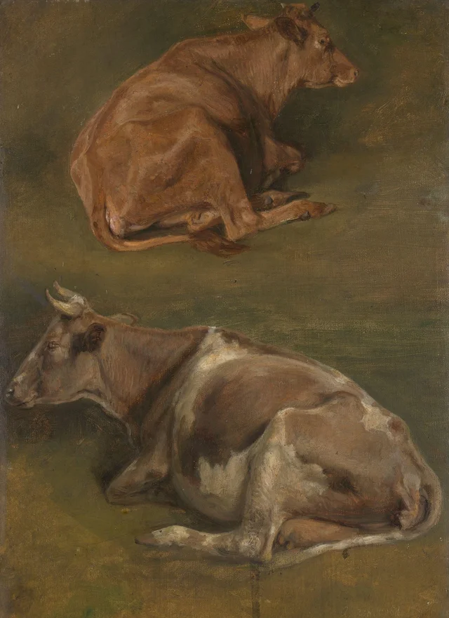 Duas vacas deitadas, Anders Askevold