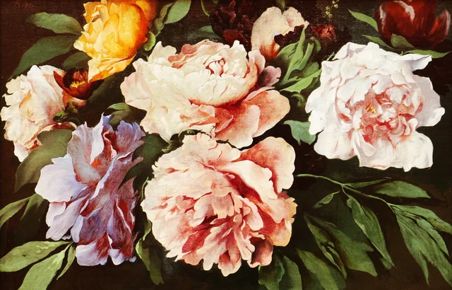 Peonies