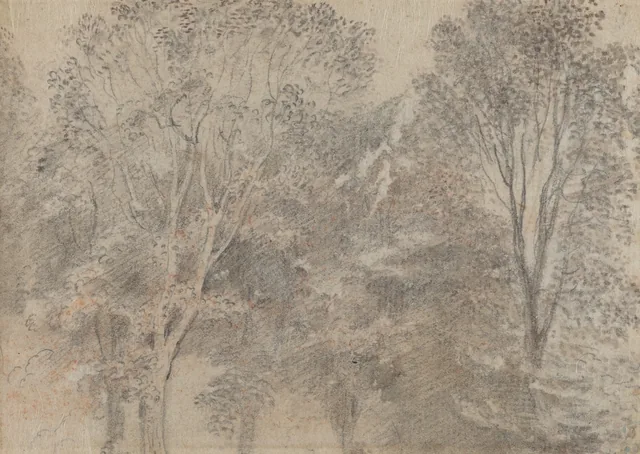 Treetops [verso]