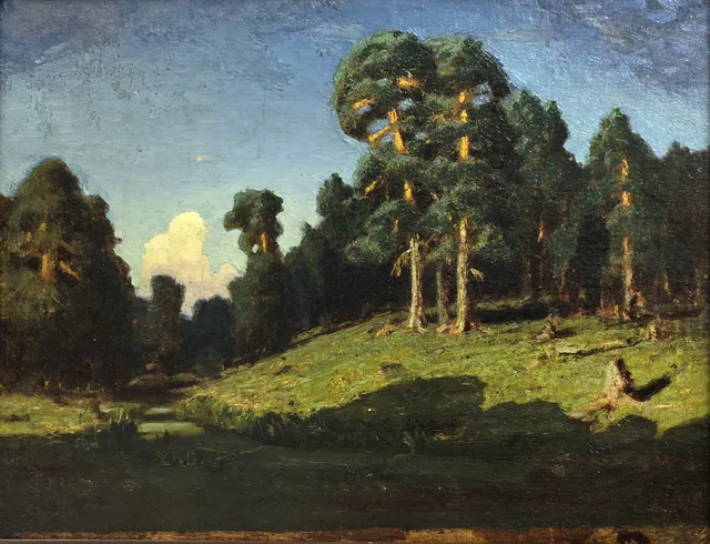 Forêt de pins avec une rivière