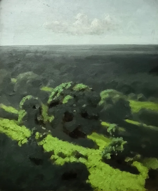 Forest Expanses, Arkhip Kouïndji