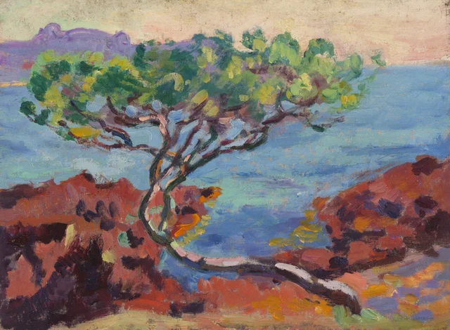 Paisagem marítima