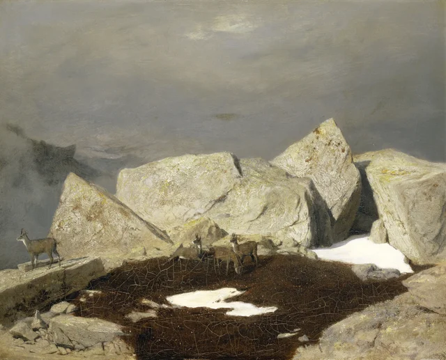 Paisaje de alta montaña con gamuzas