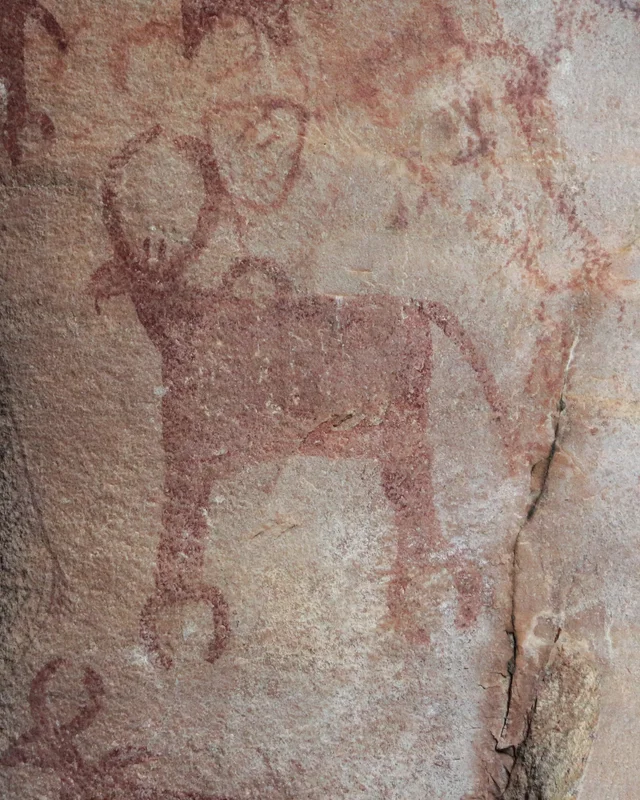 Pinturas del abrigo rocoso n.º 3, Bhimbetka