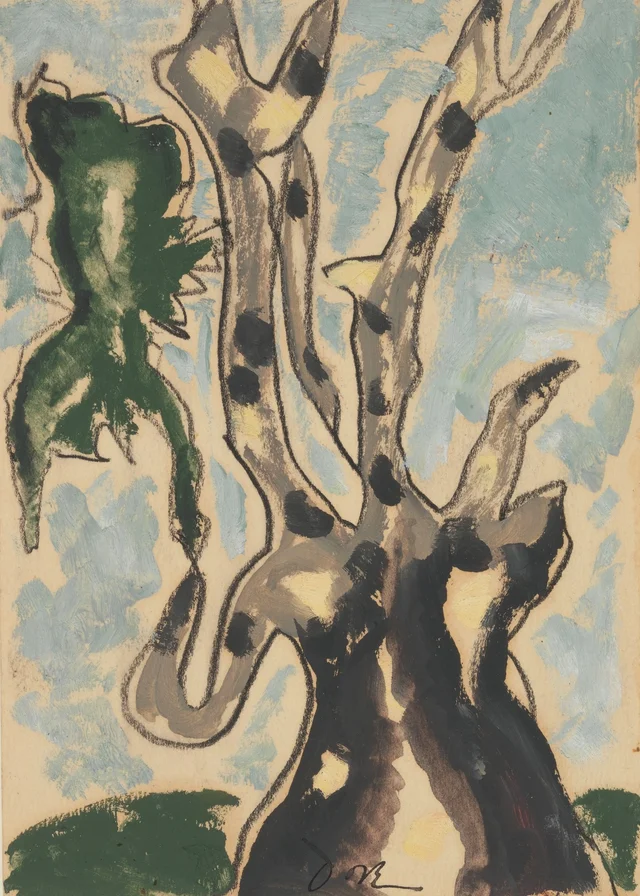 Sicomoro, Arthur Dove