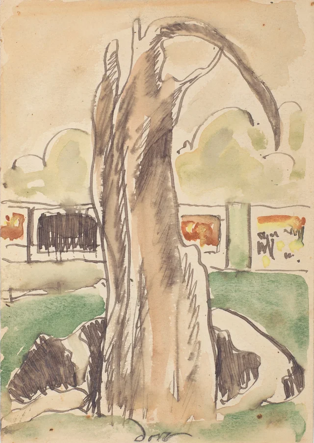 Árbol