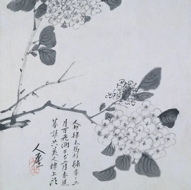 Branche d'hortensia, Bada Shanren