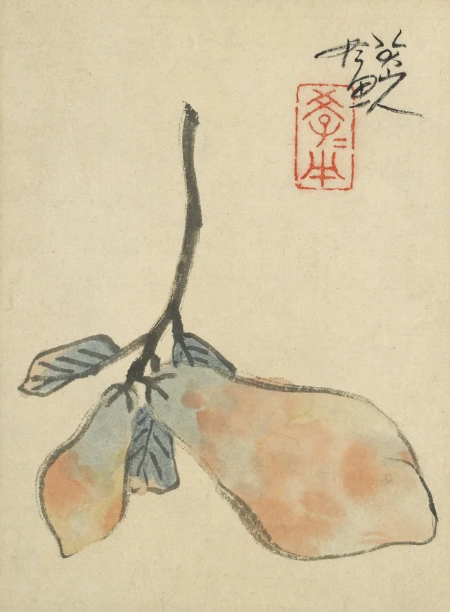 木瓜, 八大山人