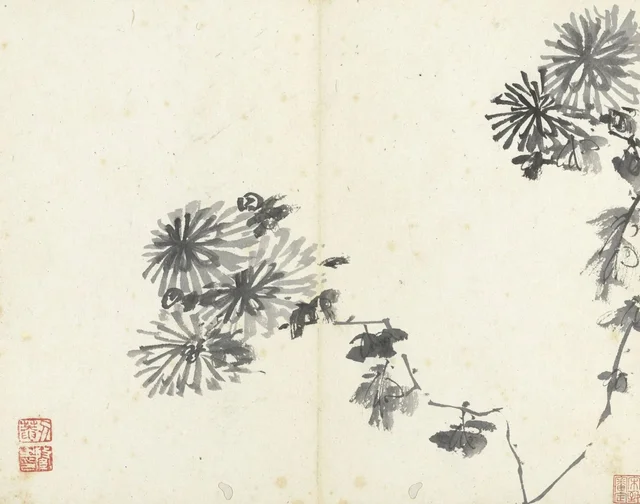 Sketches from Life by Chuanqi: Chrysanthemum