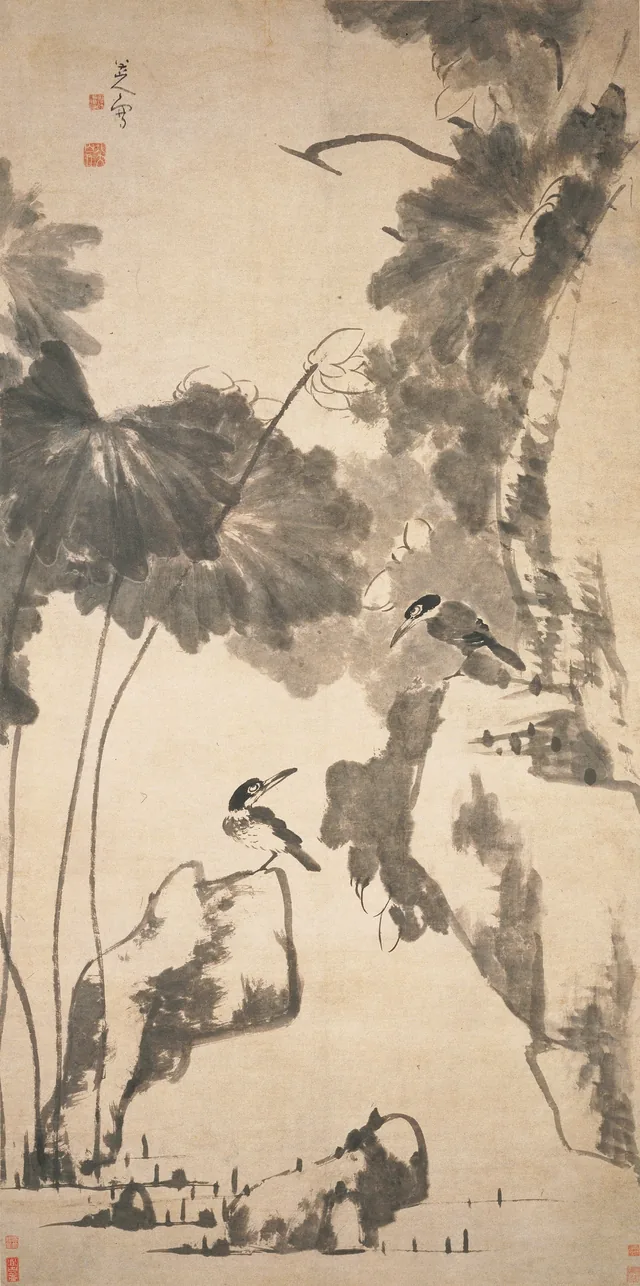 Lotus and Kingfisher