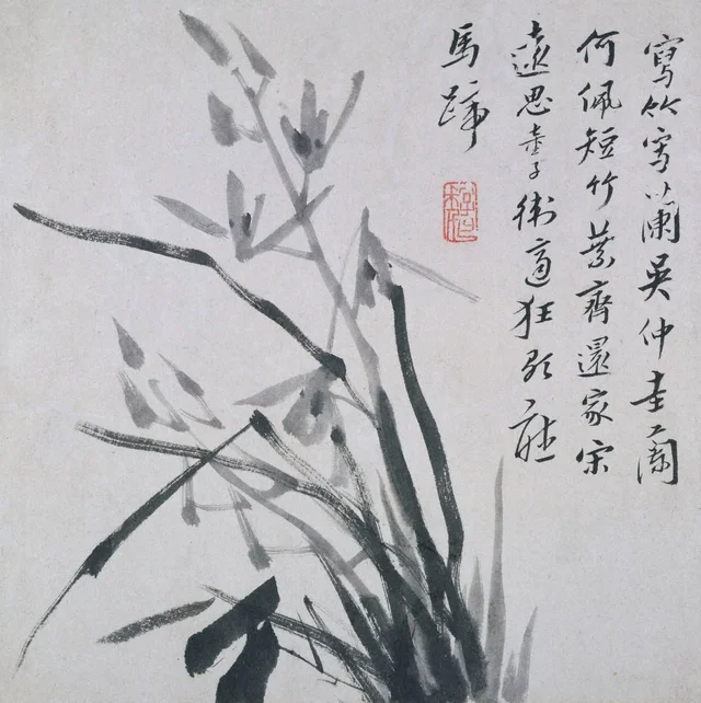 蘭の株, 八大山人