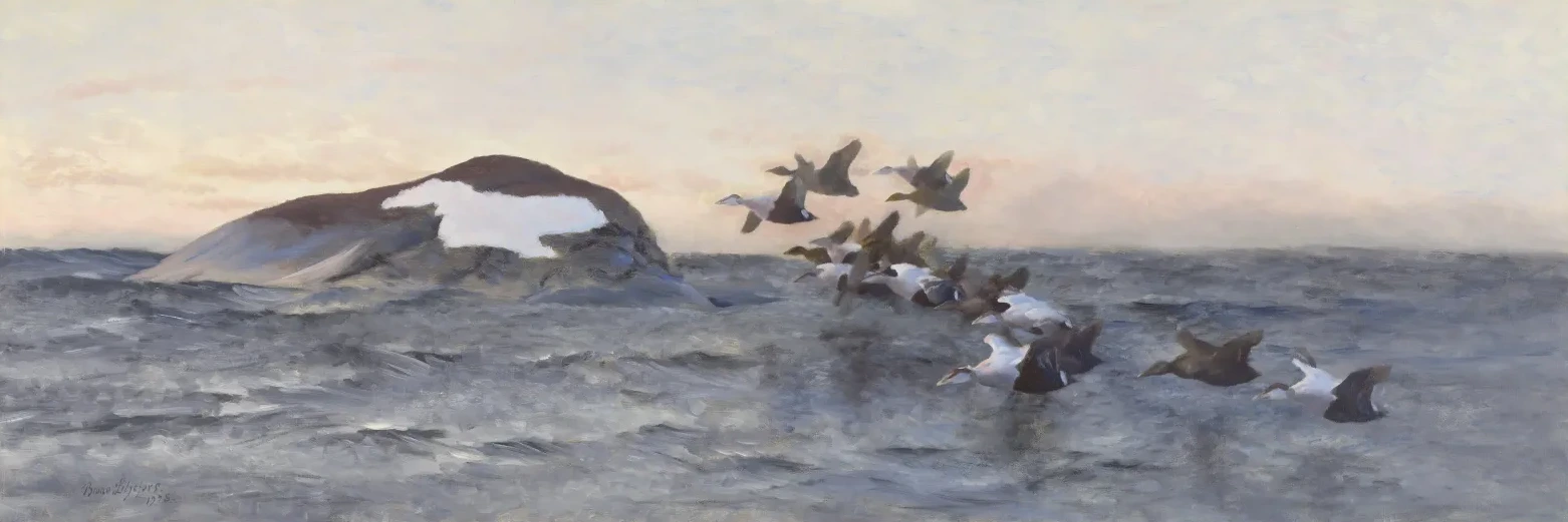 Bandada de eiders junto a un peñasco, Bruno Liljefors